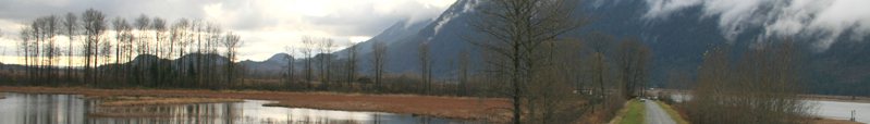 Pitt River Boat Launch