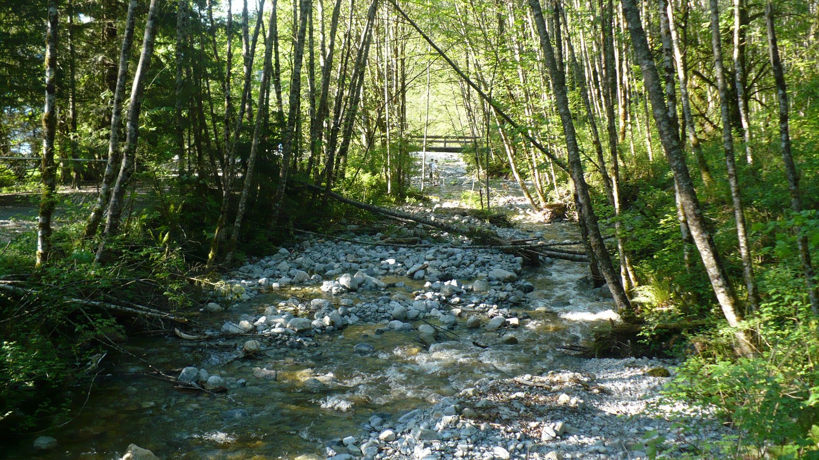 Buntzen Lake Trail