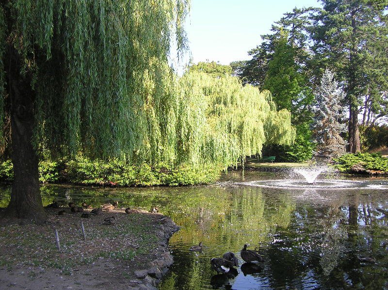 Beacon Hill Childrens Park