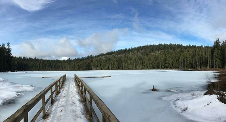 Mike Lake