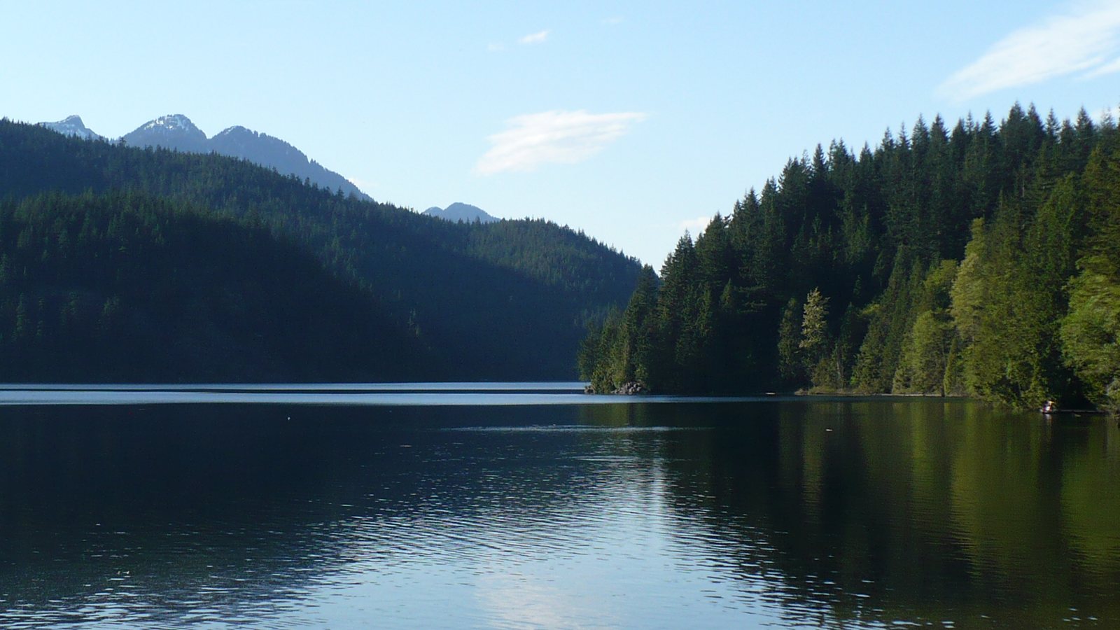 Buntzen Lake Dog Park