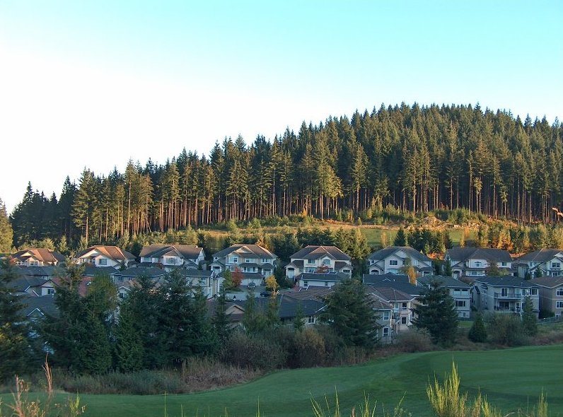 Ridge Park