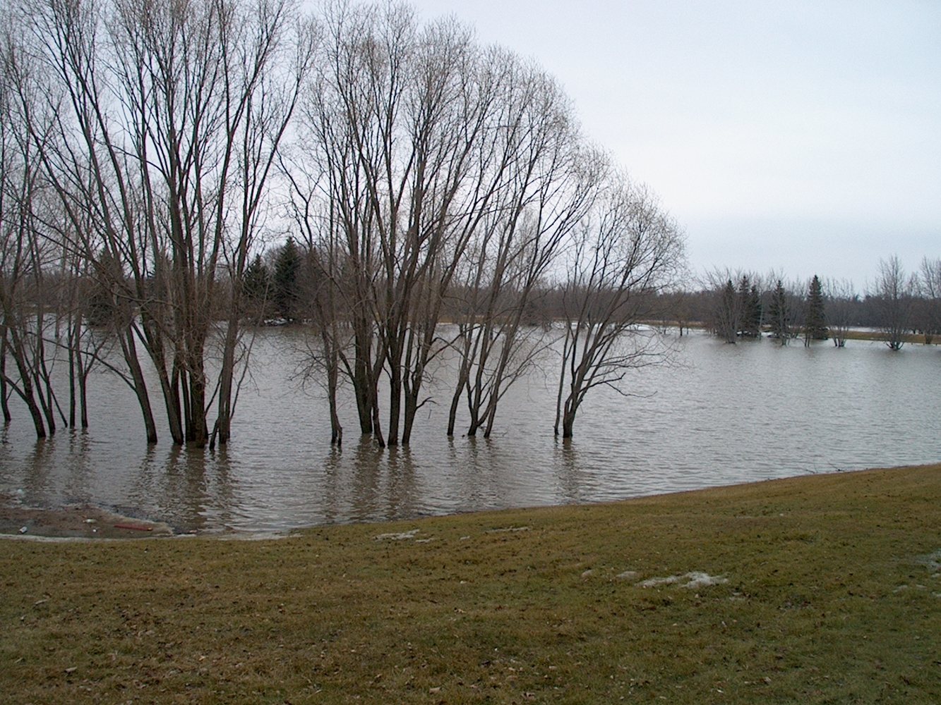 Selkirk Park Campground