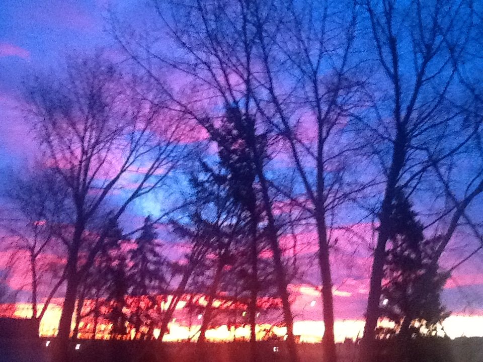 Mckenzie Dr