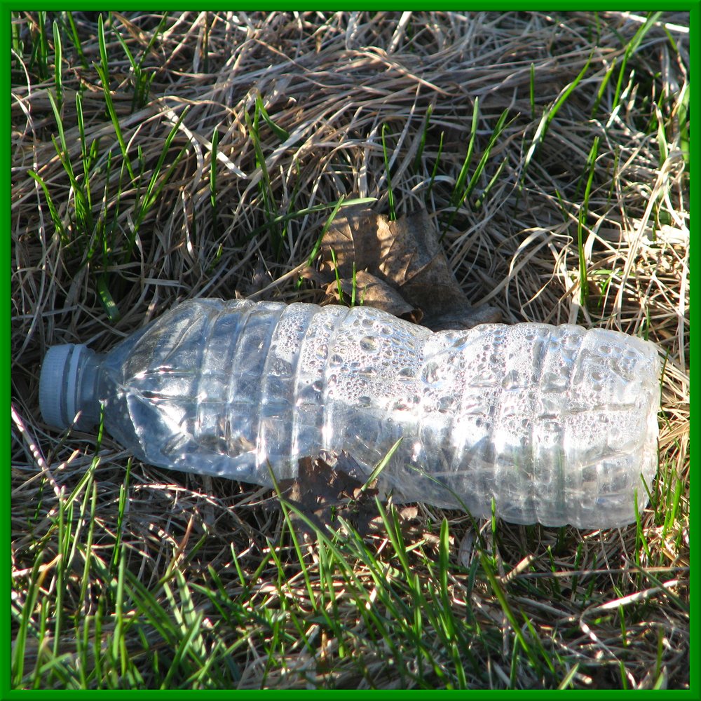 Elmira Sugar Kings