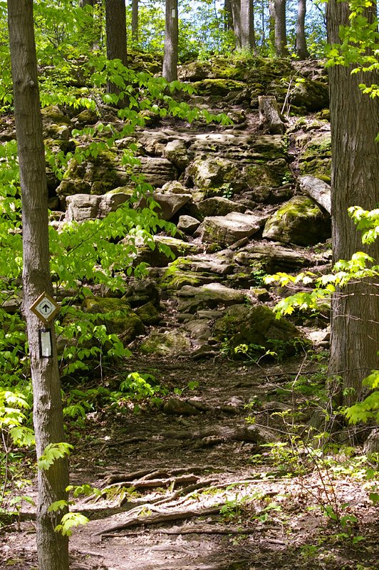 Kerncliff Park
