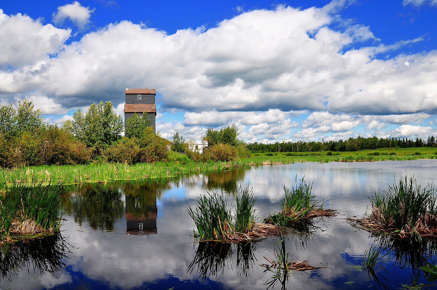 Ukrainian Cultural Heritage Village