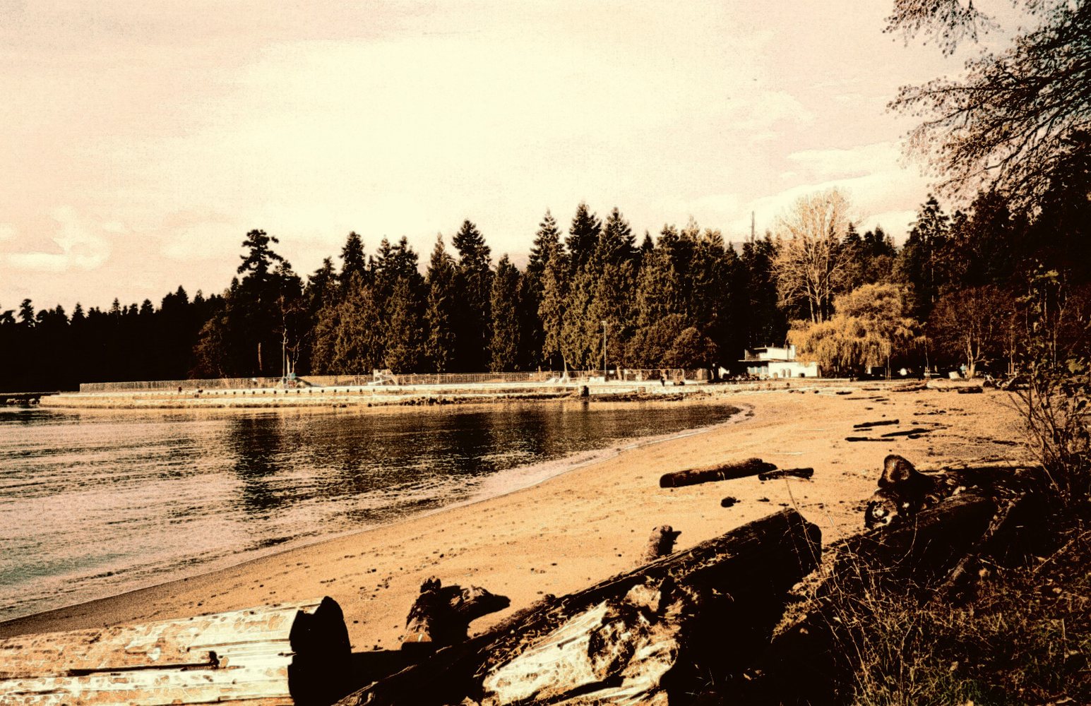 Stanley Park Children's Area