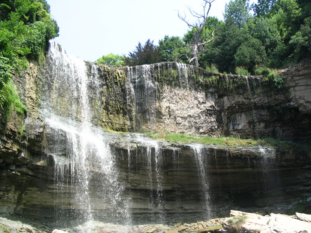 Webster's Falls