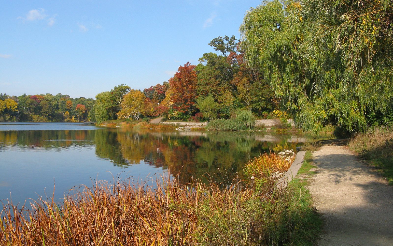 High Park Ball Association