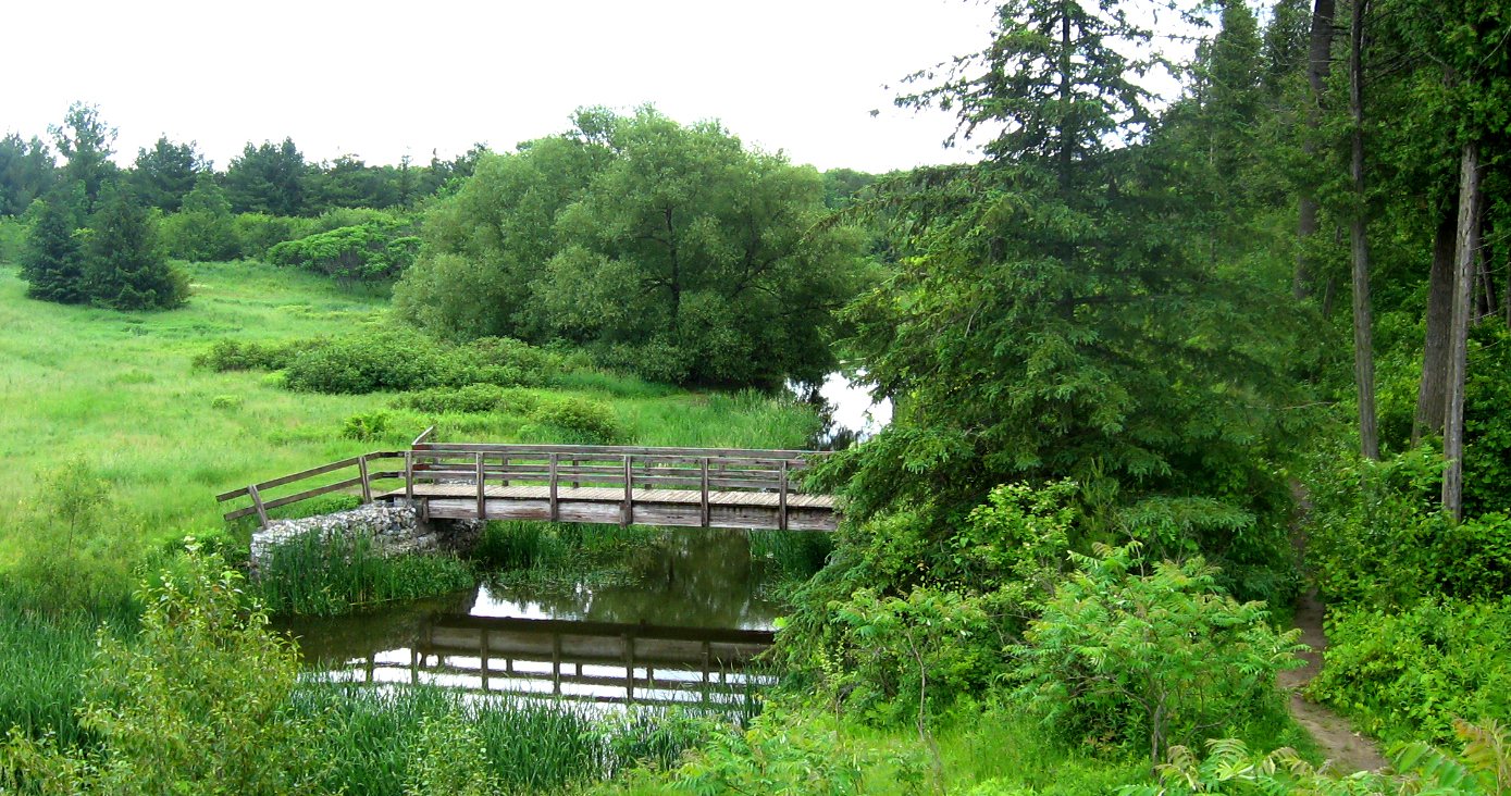 Scanlon Creek Conservation Area photo