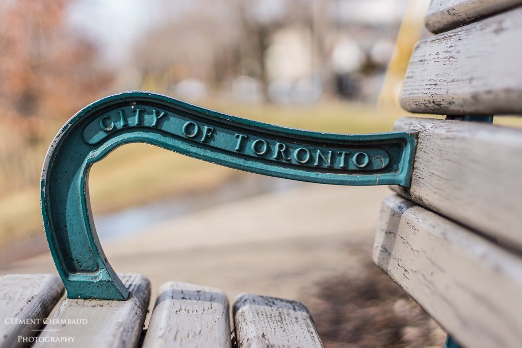 Personal Trainer in Toronto