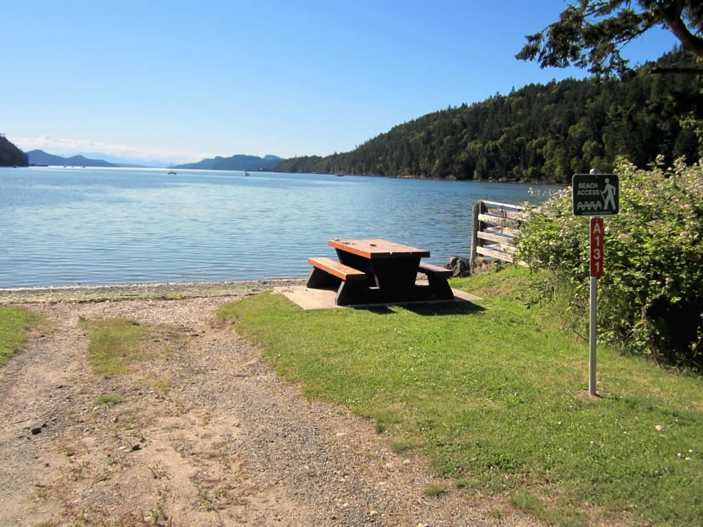 Saturna Island Outdoor Market photo