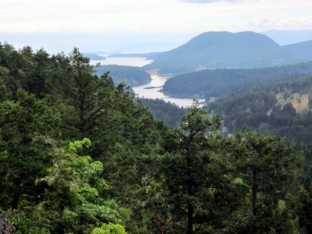Halliday Viewpoint photo