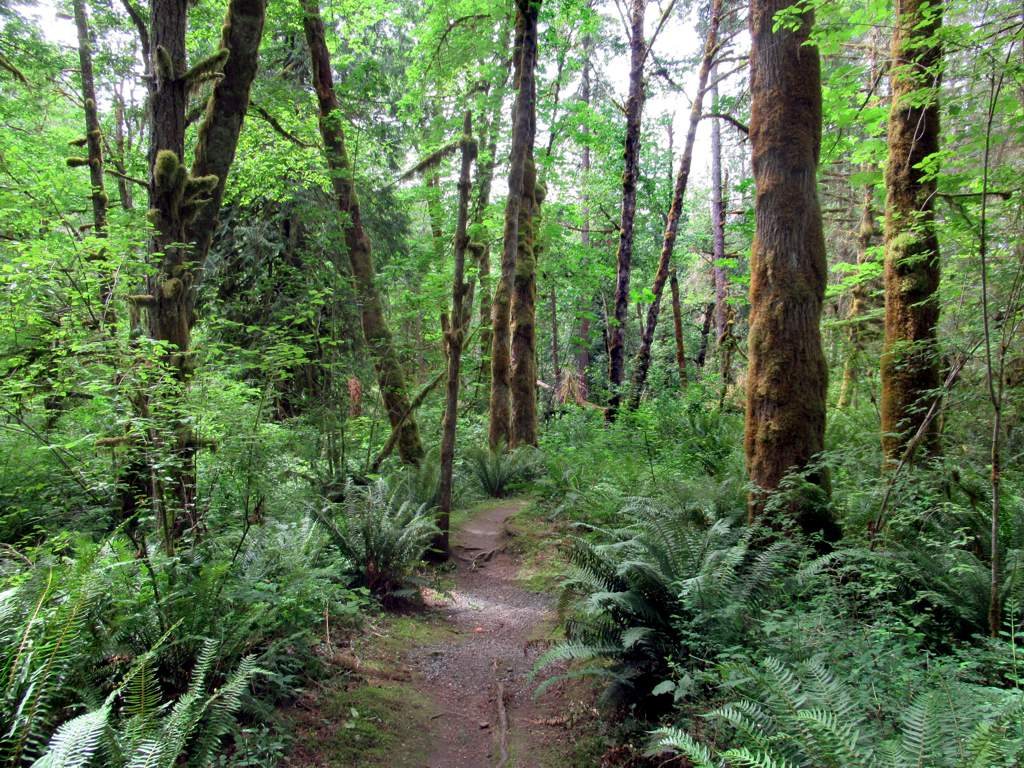 Sandy Pool Regional Park photo