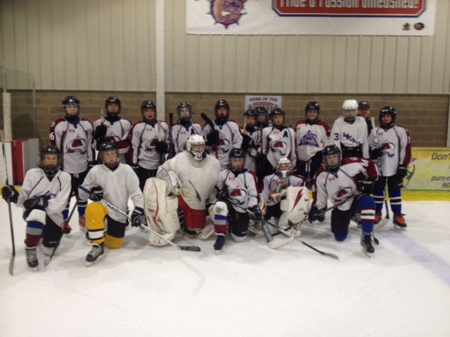 Mohawk 4 Ice Centre photo