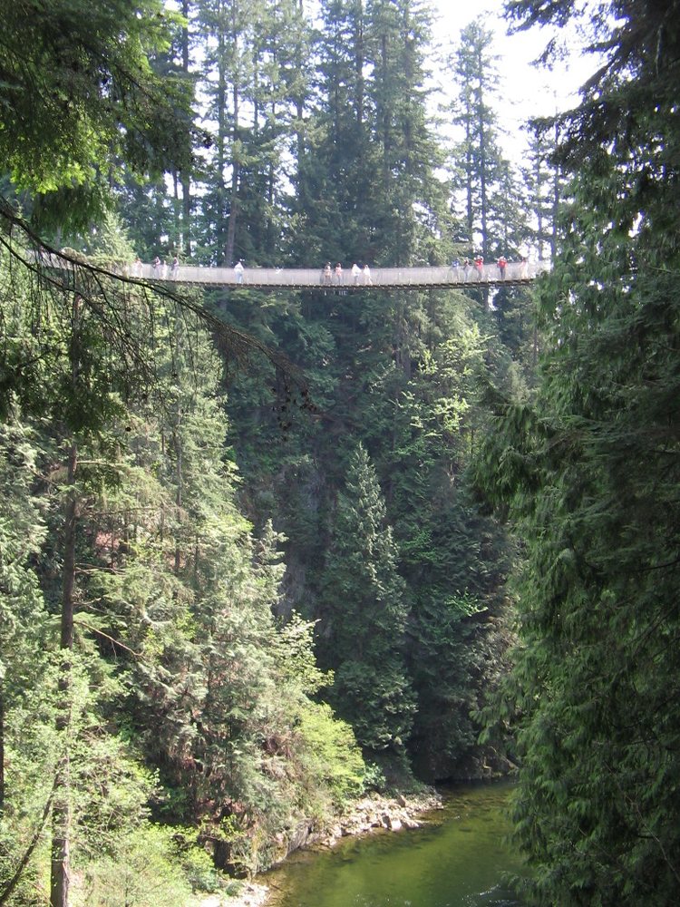 Capilano Coffee Company
