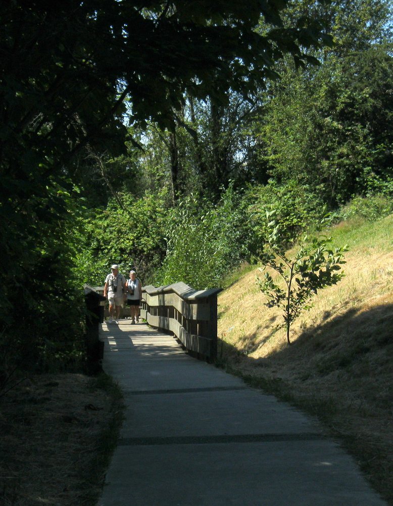 Ed Macgregor Park