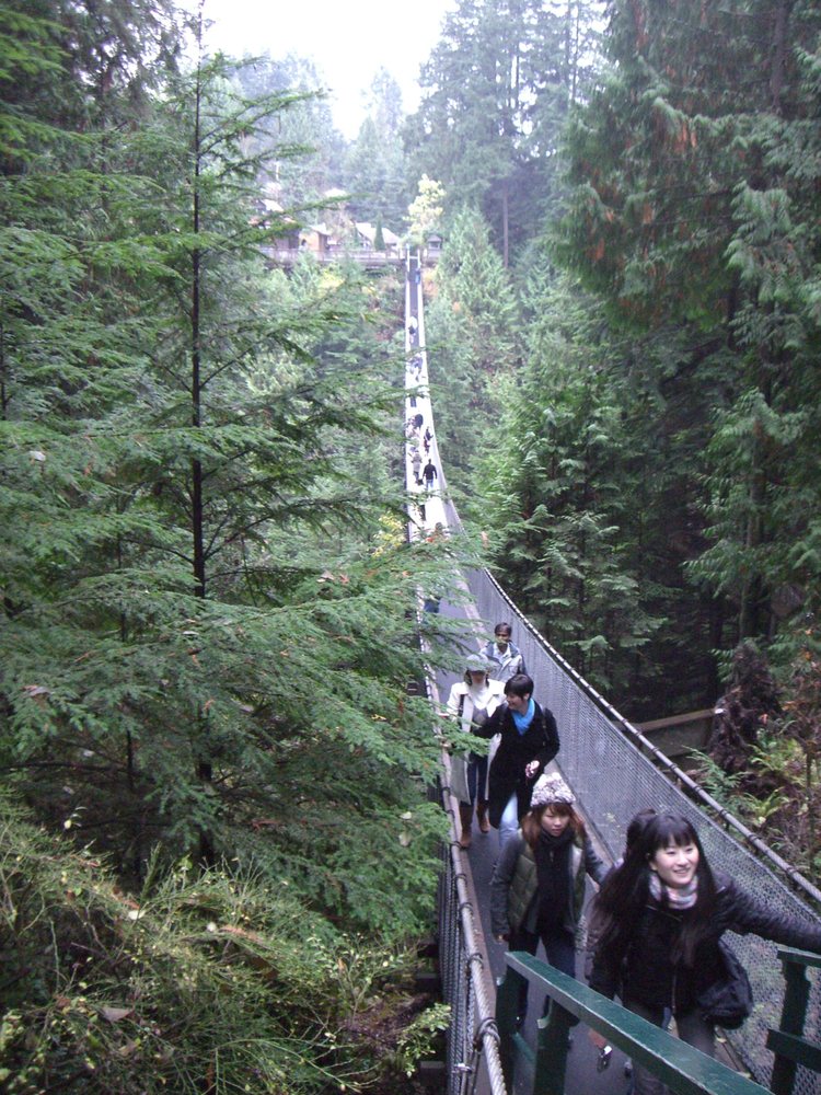 Capilano Timber Co.