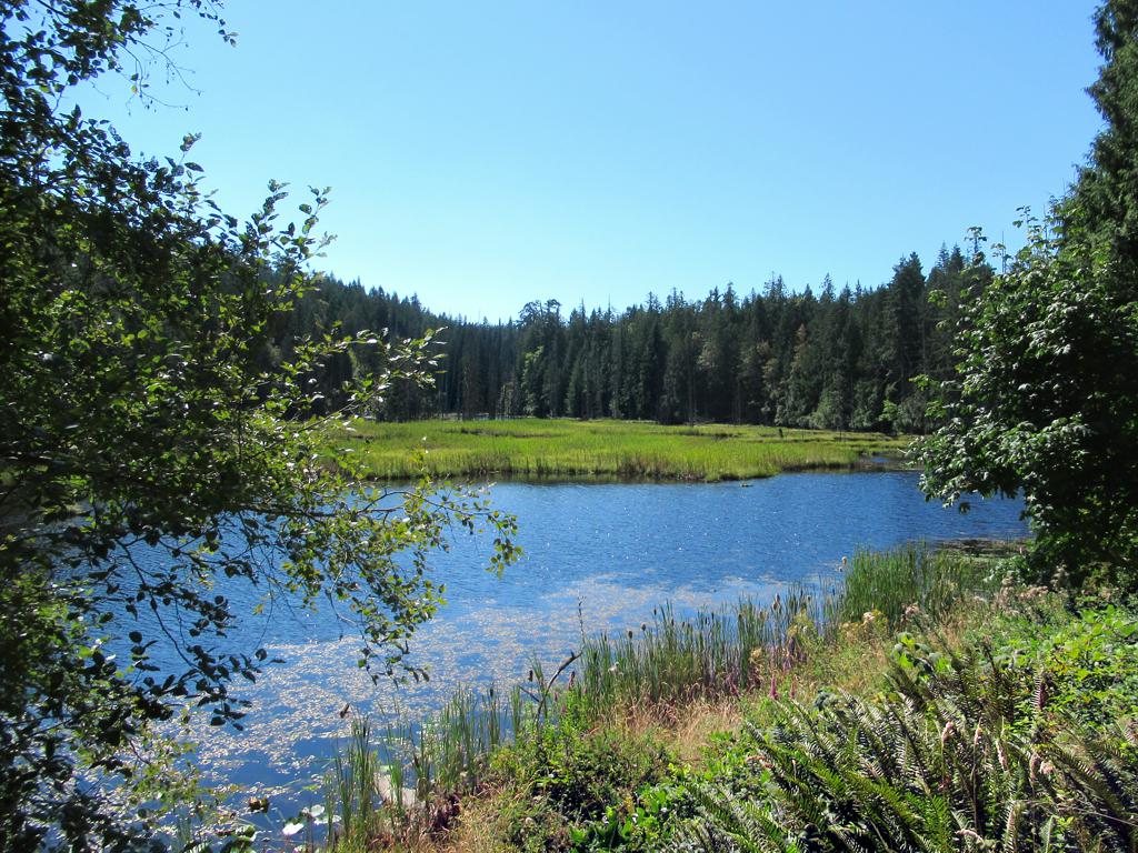 Camp Columbia photo