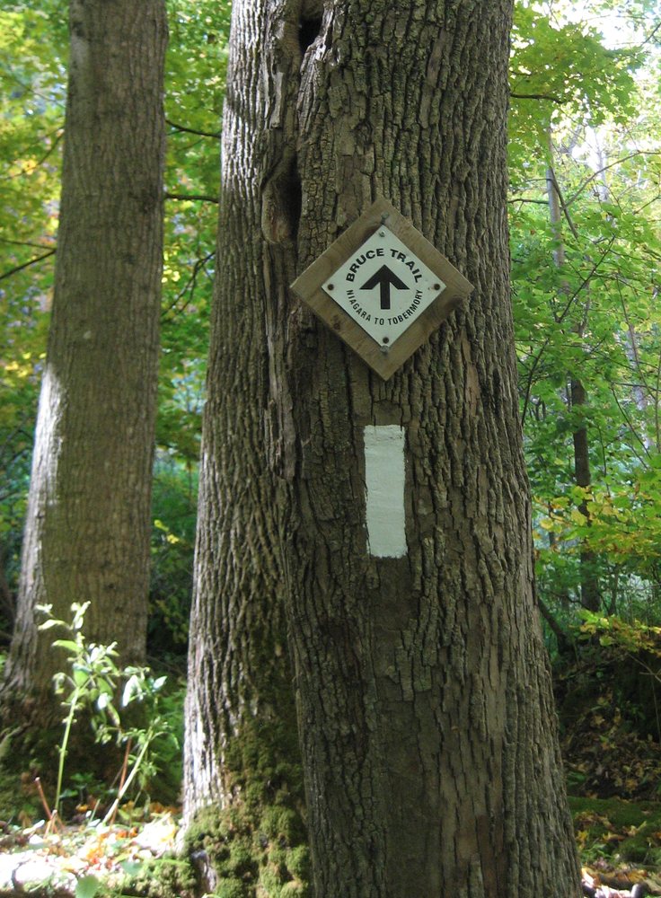 Mount Nemo Trails