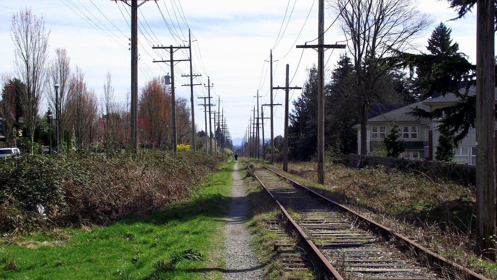 Arbutus Ridge