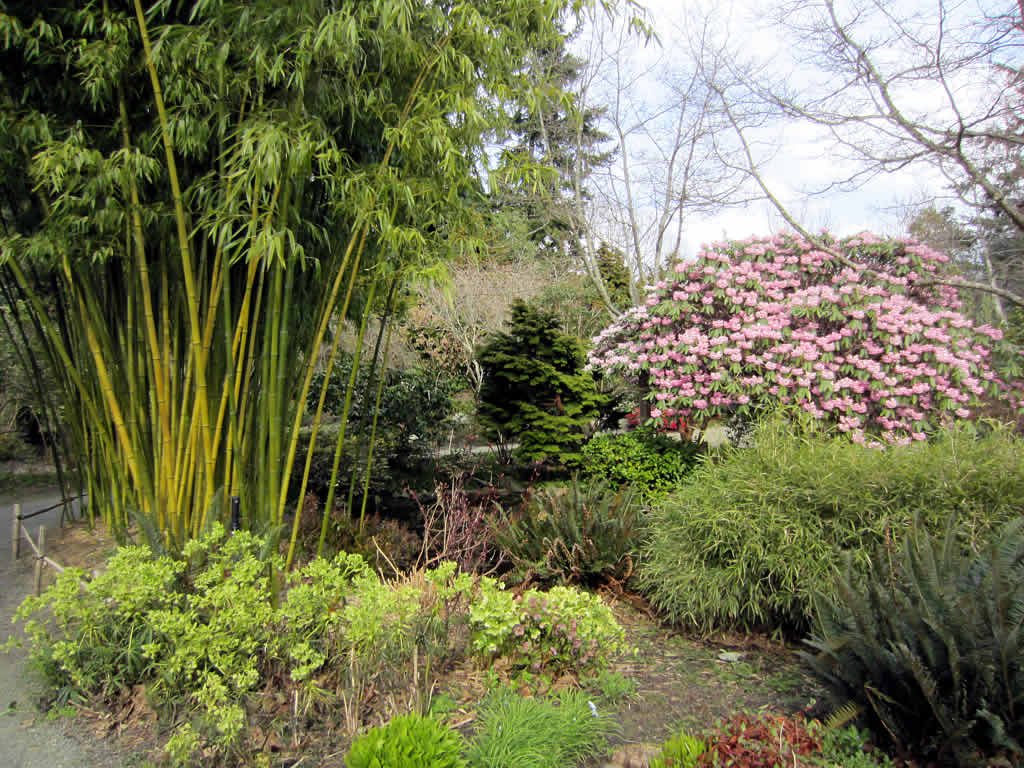 Finnerty Gardens