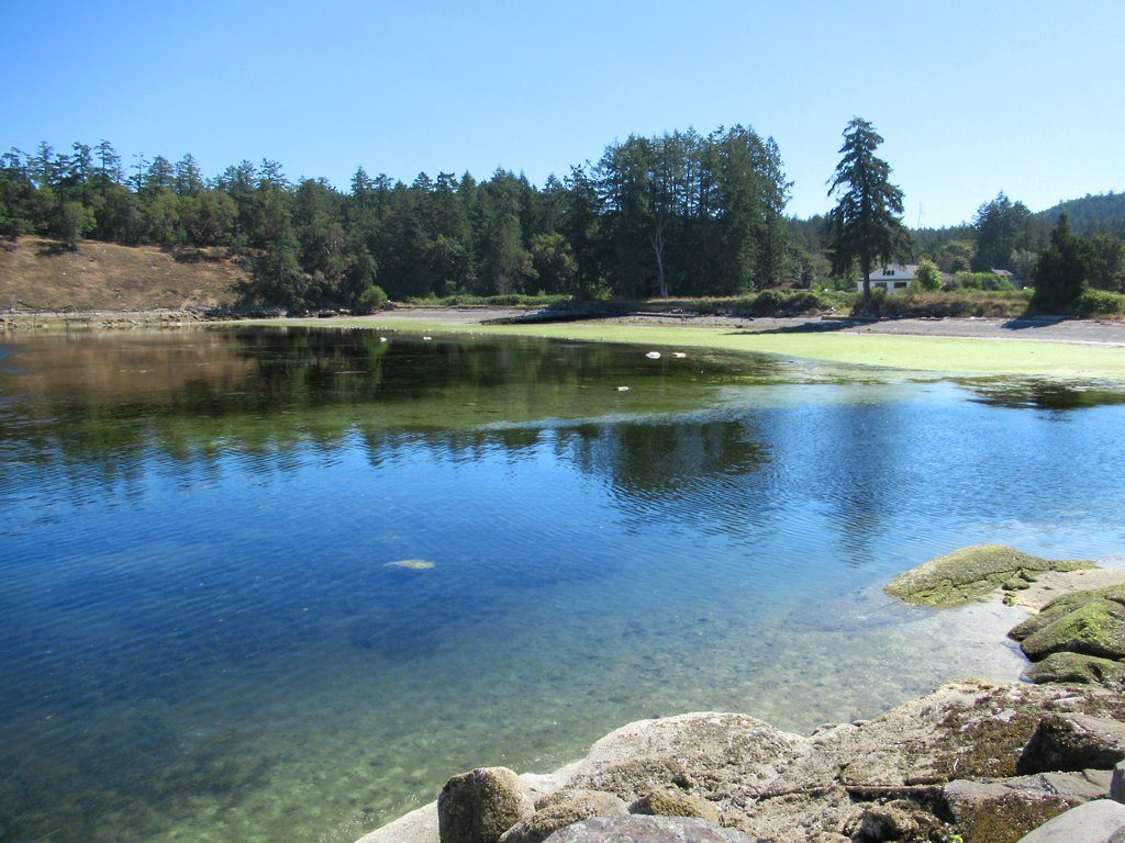 North Cove, Thetis Island photo