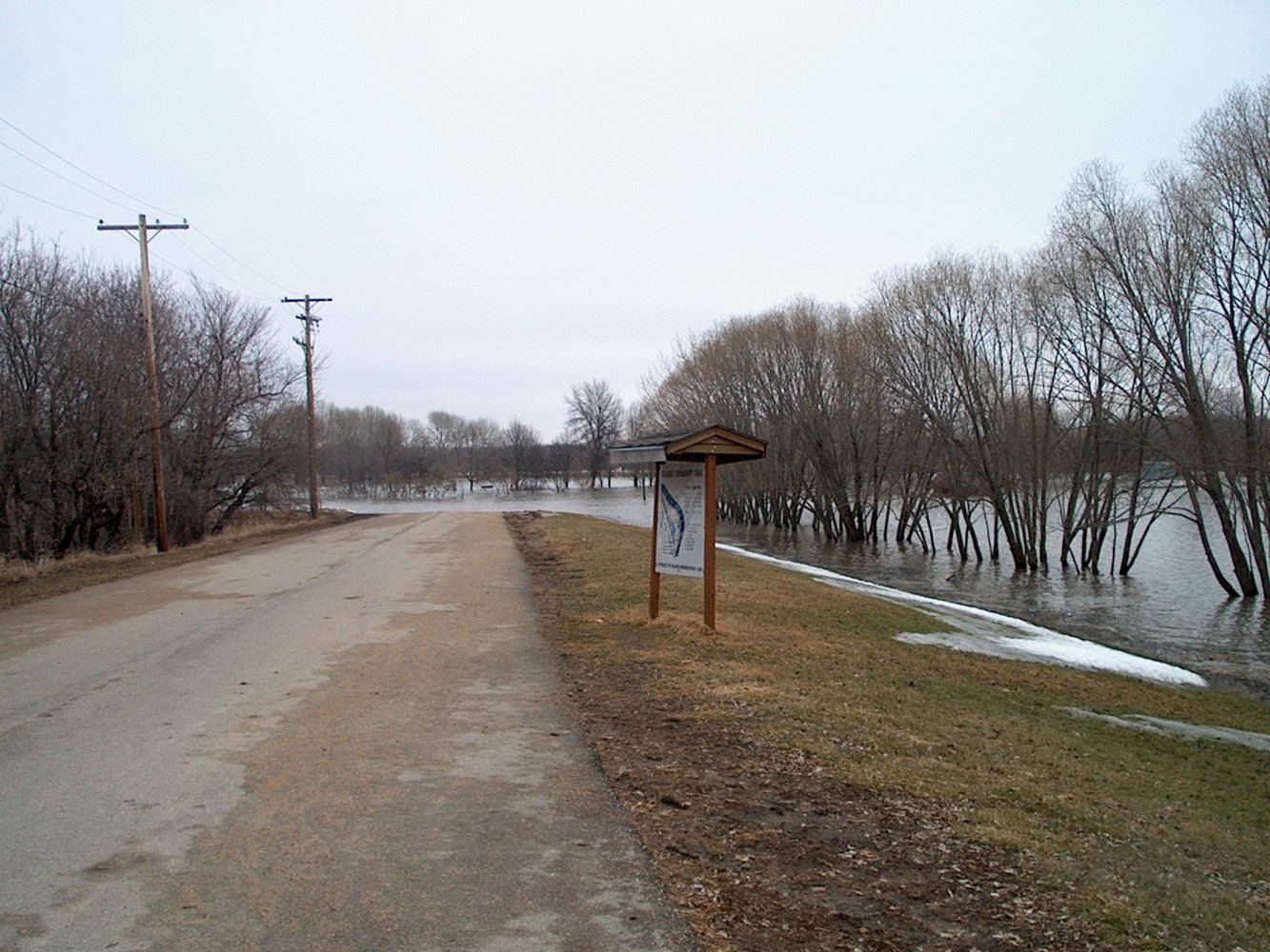 Selkirk Park
