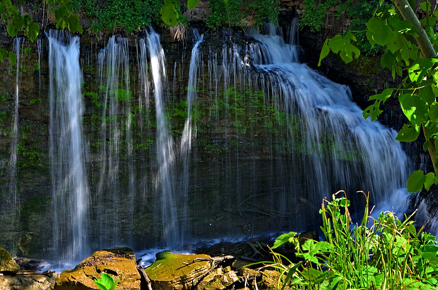 Ball's Falls Conservation Area & Centre For Conservation photo